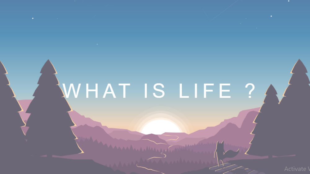 portfolio item thumb